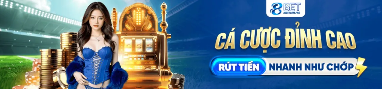 Giải thích về cookie và cách chúng hoạt động trên TX666 Code